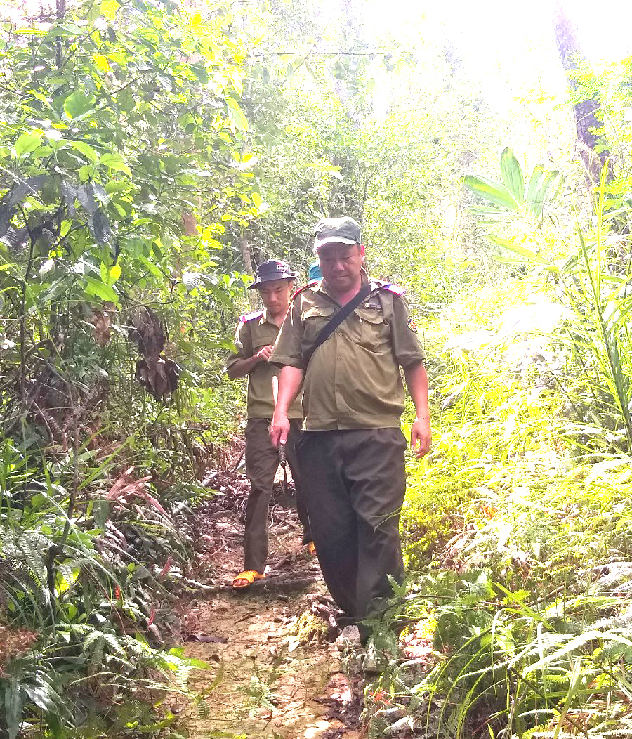 Lực lượng chuyên trách bảo vệ rừng của Ban quản lý rừng phòng hộ Nam Khánh Hòa và người dân nhận khoán tuần tra rừng