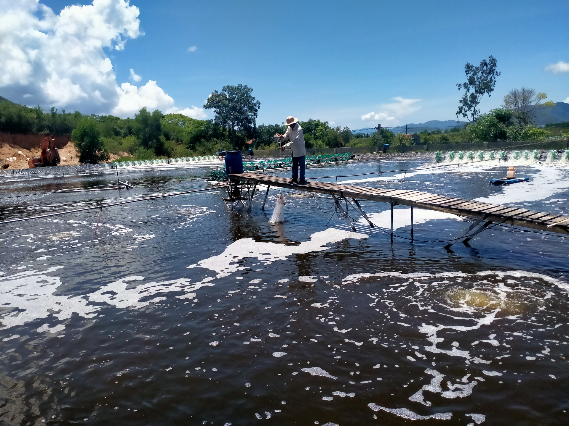 188 cơ sở nuôi tôm nước lợ được cấp giấy xác nhận đối tượng thủy sản nuôi chủ lực