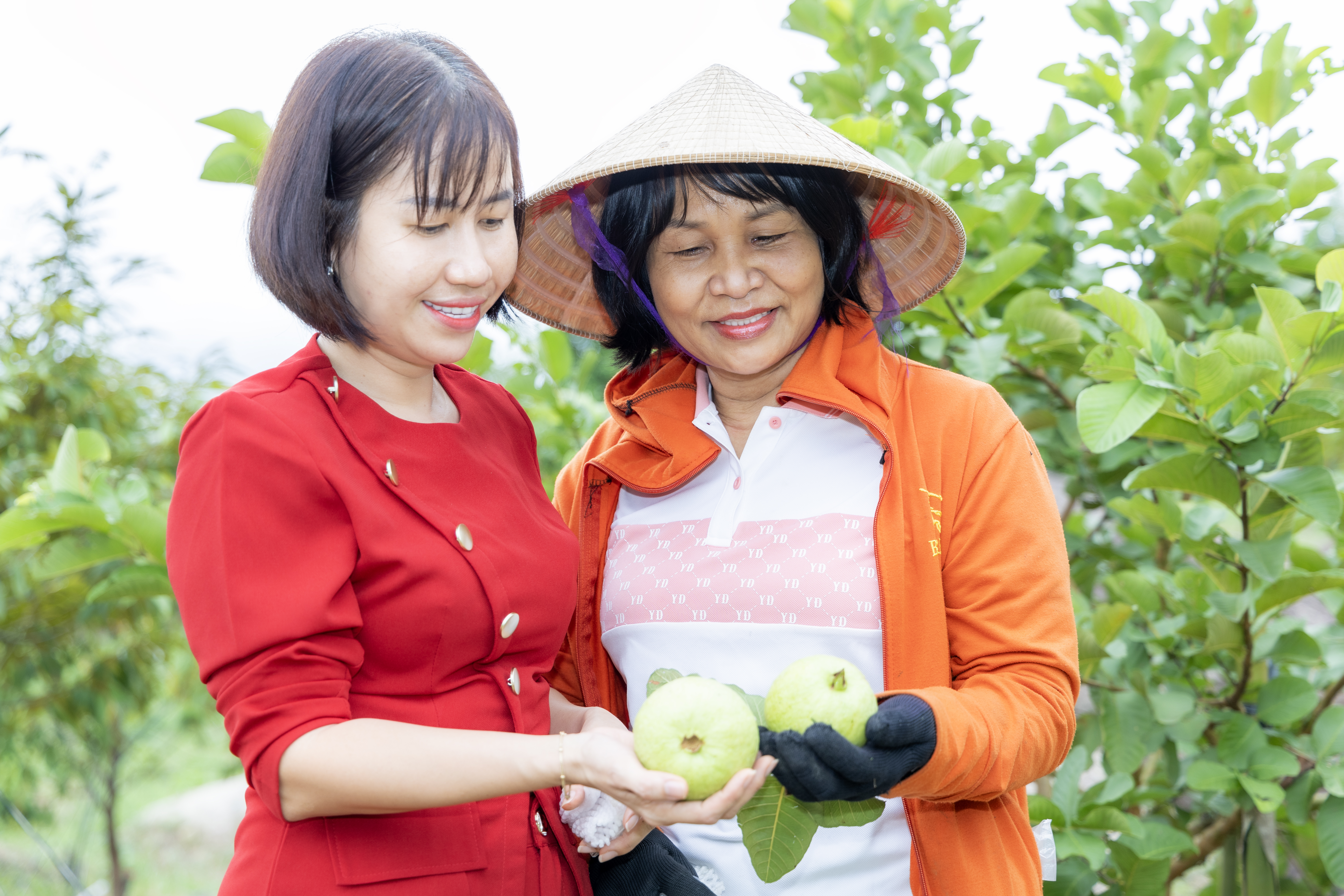 Sản phẩm OCOP miền núi: Đáp ứng chuyển đổi xanh