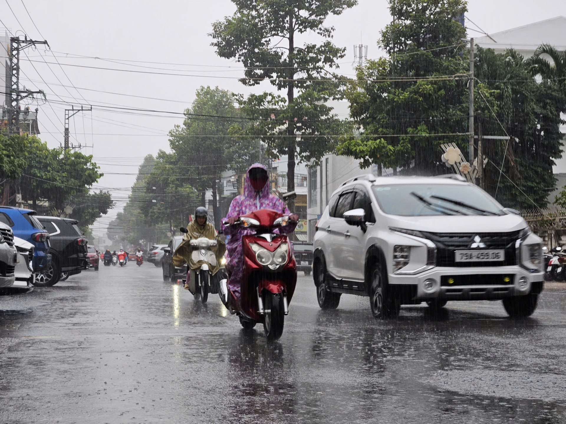 UBND TP. Nha Trang: Yêu cầu chủ động ứng phó với mưa lớn, lũ quét, sạt lở đất