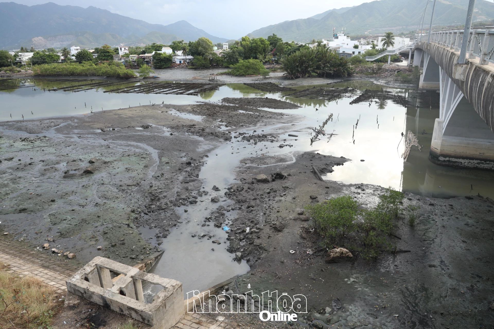 Hiện trạng sông Quán Trường bị bồi lấp.