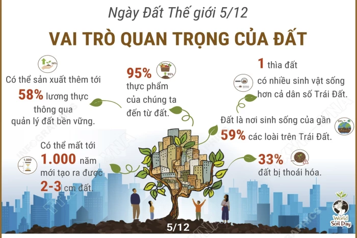 Ngày Đất Thế giới 5/12: Vai trò quan trọng của đất