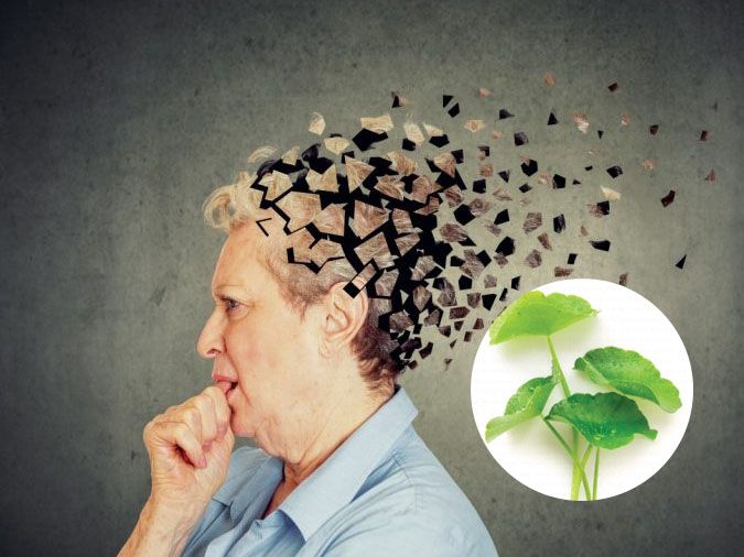 6 lợi ích sức khỏe của rau má