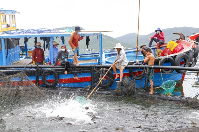 Đẩy mạnh chế biến thủy sản xuất khẩu