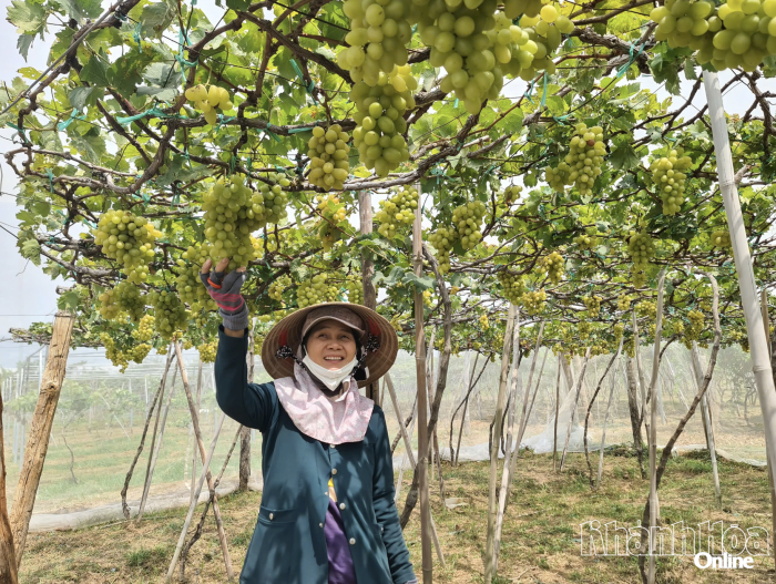 Tăng cường đầu tư cho các sản phẩm công nghiệp nông thôn đặc trưng