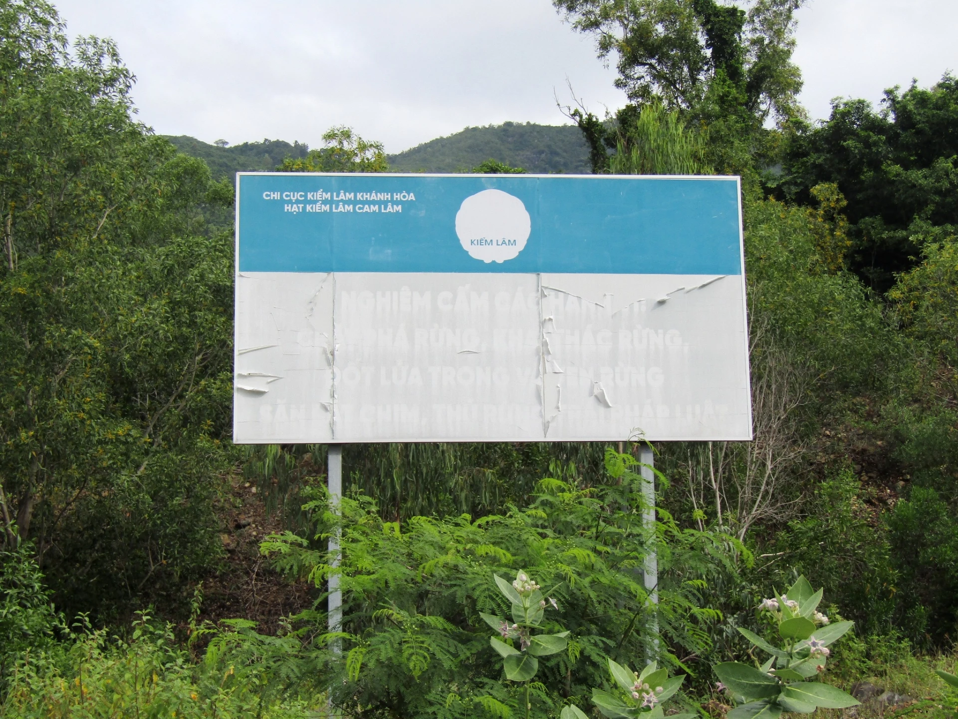 Ảnh chụp ngày 4-12-2025.