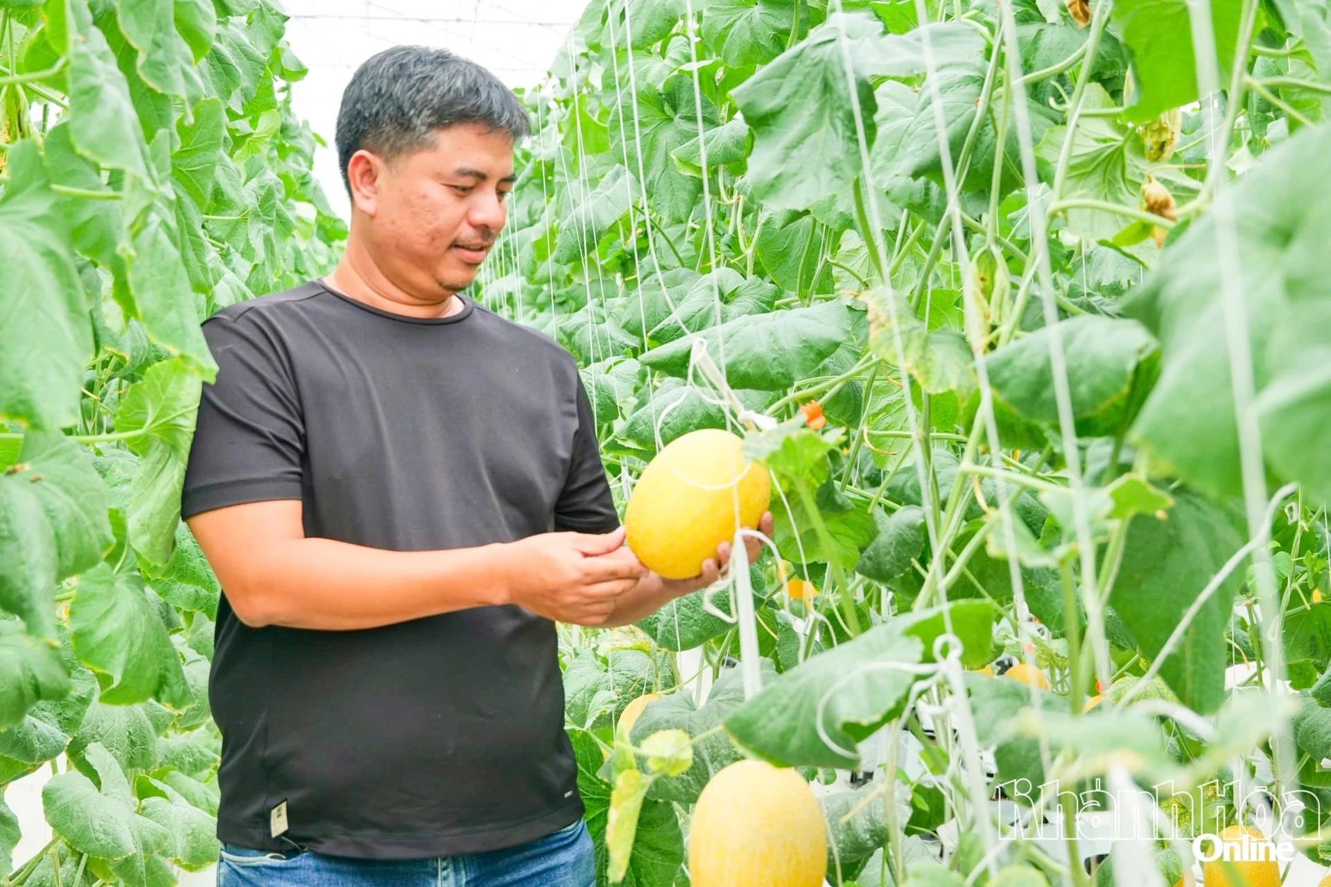 Hoàng Đình Huy - Giám đốc Công ty Cổ phần Đầu tư IIFC, 
thường được gọi là “ông chủ” Chapor Farm.