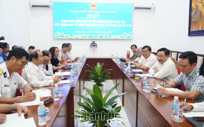 Tổ dân phố Bích Đầm sẽ sớm có điện lưới quốc gia