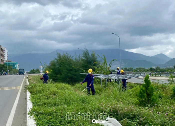 Cắt tỉa cây xanh, phát thảm cỏ ở dải phân cách đường Vành đai 2, nhánh phía nam