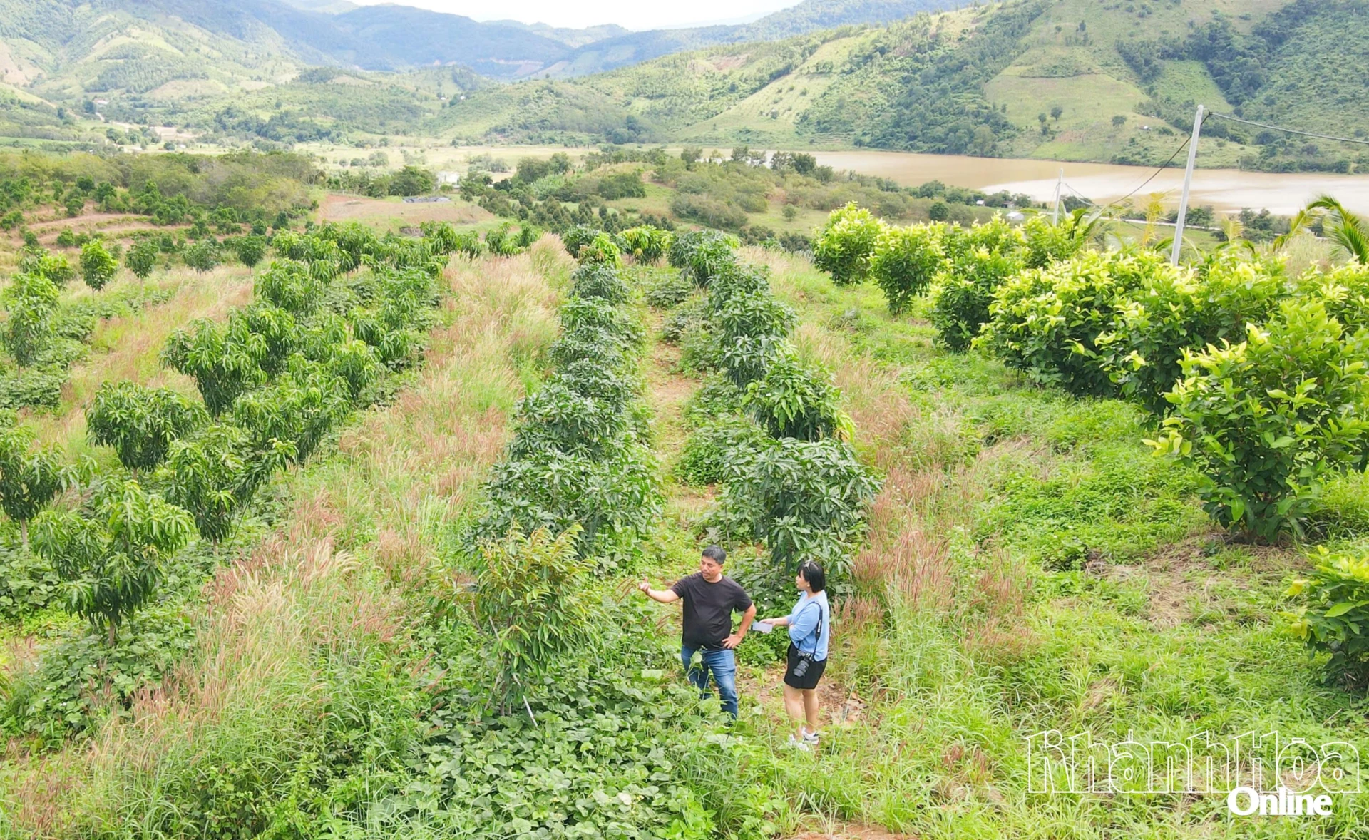 Từ một vùng đất từng bị xem “khó làm nông nghiệp”, Chapor Farm xanh mướt với hàng chục héc-ta cây trồng công nghệ cao.