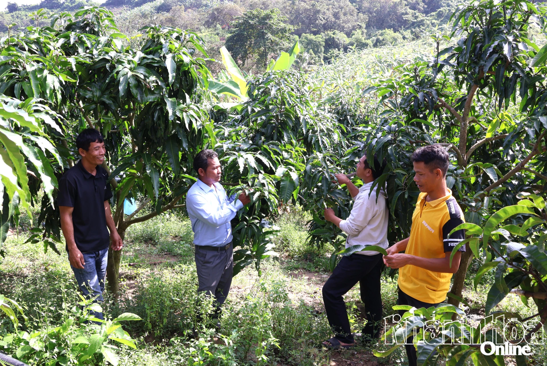 Ông Mang Tám (thứ 2 từ bên trái) vận động người dân trong thôn phát triển kinh tế.