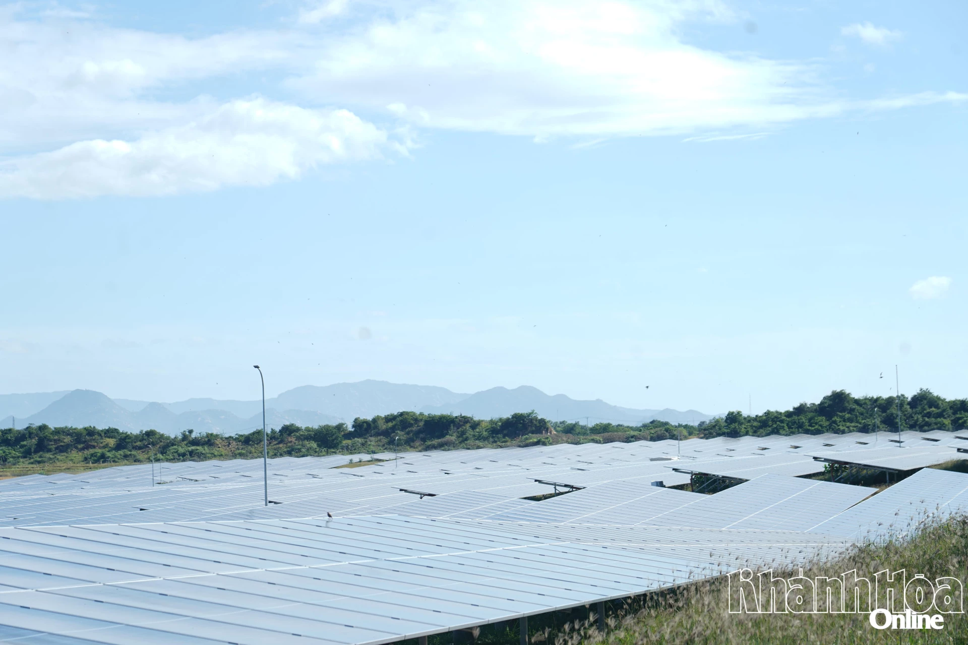 Dụ án Nhà máy Điện mặt trời Phước Thái 2 có công suất 87MW (100MWp), tổng mức đầu tư 1.495 tỷ đồng.