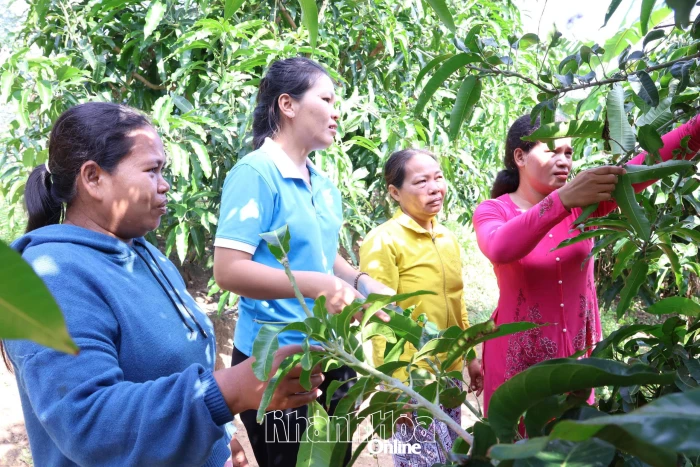 Nỗ lực đẩy lùi tảo hôn và hôn nhân cận huyết thống