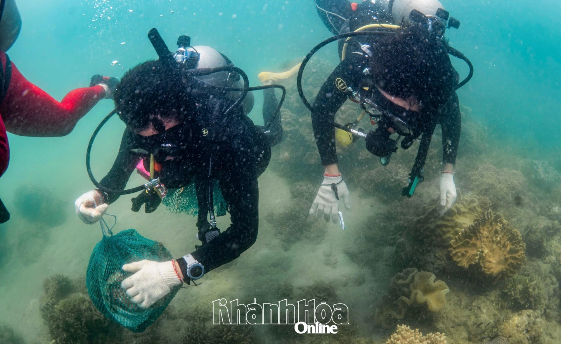 Hoạt động lặn biển nhặt rác ở vịnh Nha Trang. Ảnh: Câu lạc bộ lặn biển Viet Divers tại TP. Hồ Chí Minh cung cấp.
