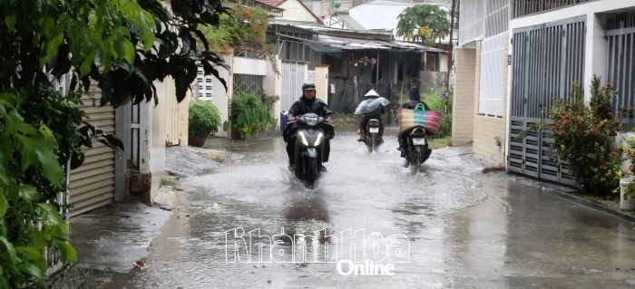 Cảnh báo mưa giông trên địa bàn tỉnh