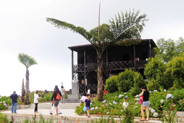 Lên Hòn Bà bắt gặp cỏ hoa