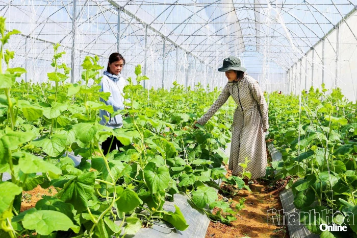 Hướng tới phát triển nông nghiệp bền vững