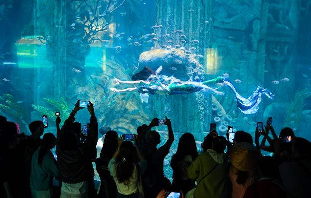 A group of people taking pictures of a mermaid swimming in a large tank

AI-generated content may be incorrect.