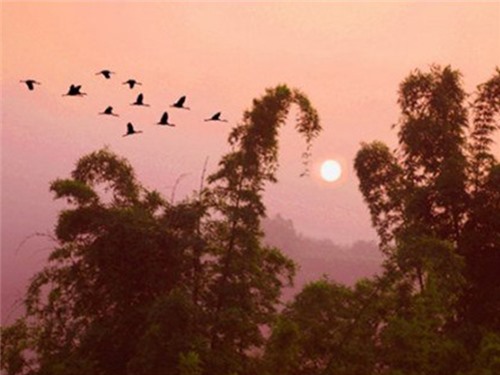 Hương chiều - Nhạc: Bá Khôi - Thơ: Hàn Lan Quy – Biểu diễn: Quốc Thái