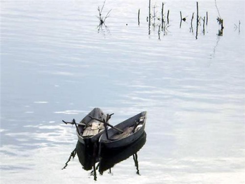 Đội mưa - Sáng tác: Bá Lân