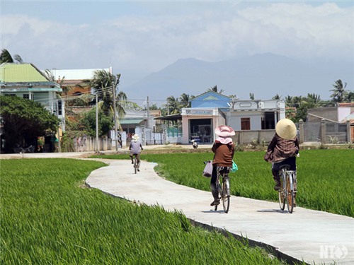 Nông thôn Ninh Phước nhìn từ phong trào “dân vận khéo”