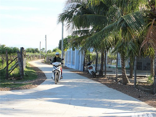 Phước Sơn: Phấn đấu đạt chuẩn xã nông thôn mới vào năm 2015