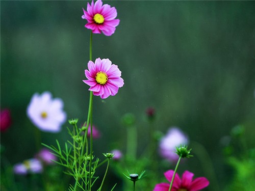 Thưởng và phạt