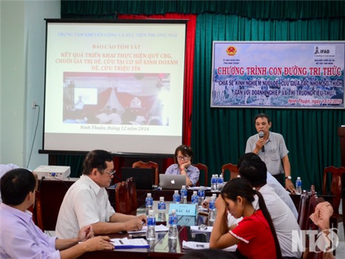 Tổ chức chương trình 