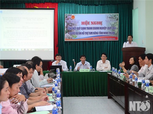 Dự án hỗ trợ tam nông tỉnh: Đánh giá kết quả triển khai thực hiện Quỹ CBG