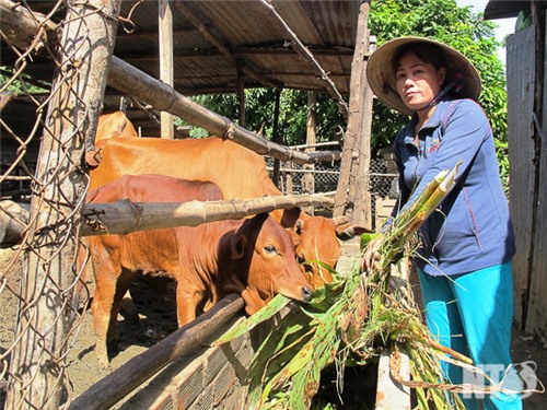 Phước Vinh phát huy hiệu quả Quỹ Phát triển kinh tế phụ nữ