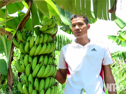 Tác động qua 5 năm thực hiện dự án ở huyện Thuận Bắc