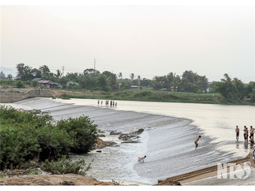 Sự tích cá Rô không sống ở vùng thượng lưu đập Nha Trinh