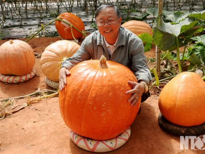 Vườn nông sản sạch làm du lịch