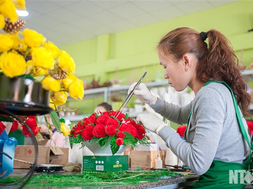 Hoa tươi mãi mãi