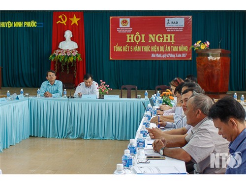 Ninh Phước: Tổng kết 5 năm thực hiện dự án hỗ trợ Tam nông