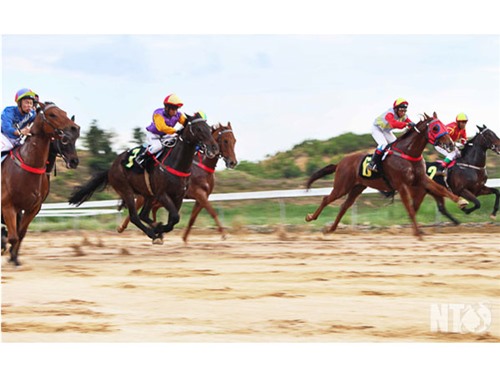 Khai trương Trường đua ngựa Thiên Mã - Madagui