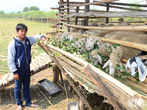 Dự án Hỗ trợ Tam nông tỉnh góp phần xây dựng nông thôn mới