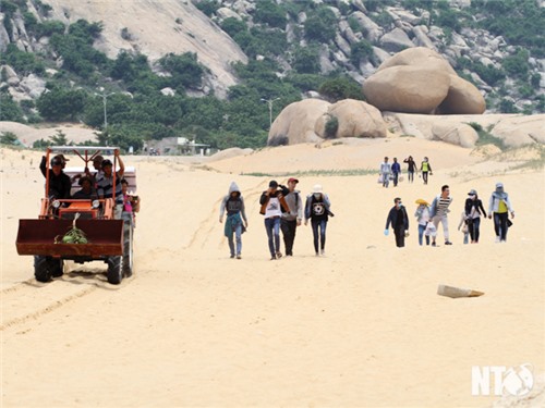 Thuận Nam điểm thu hút khách du lịch
