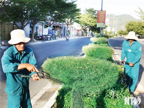 Những công nhân làm đẹp mùa xuân mới