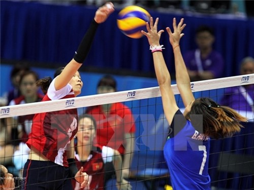 Chuẩn bị tổ chức giải Bóng chuyền Cúp các Câu lạc bộ nữ châu Á