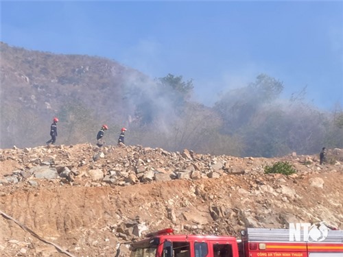 Từ ngày 21/5, cấp dự báo cháy rừng trên địa bàn tỉnh là cấp II