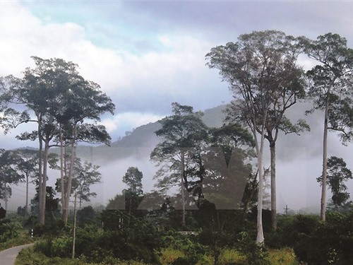 Khám phá Vườn quốc gia Phước Bình