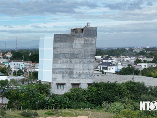 Tiếp tục tăng cường quản lý, xử lý hoạt động chăn nuôi trong khu vực không được phép chăn nuôi