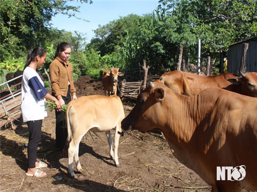 Phát huy vai trò phụ nữ  trong công tác giảm nghèo bền vững