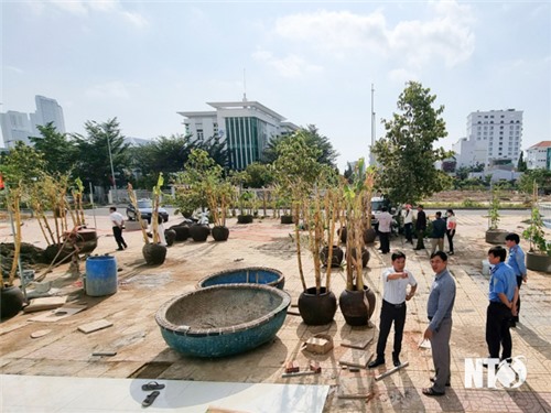 Xử phạt và buộc trả lại diện tích lấn chiếm tại Chung cư D7-D10