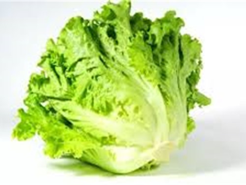 Trường hợp nào  không nên dùng rau xà lách?