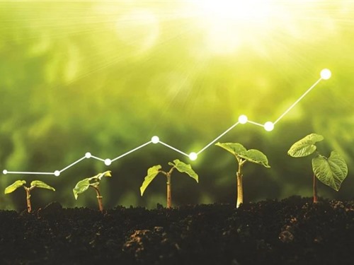 Chuyển đổi xanh, thúc đẩy tăng trưởng bền vững