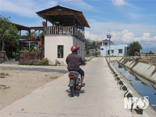 Phương Hải: Lan tỏa việc học và làm theo Bác bằng những việc làm thiết thực