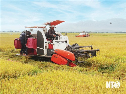 Ngành nông nghiệp vượt khó, giữ đà tăng trưởng