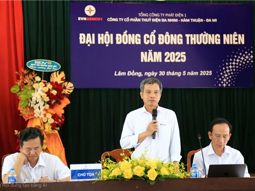 Đại hội đồng cổ đông thường niên năm 2025 Công ty Cổ phần Thủy điện Đa Nhim - Hàm Thuận - Đa Mi